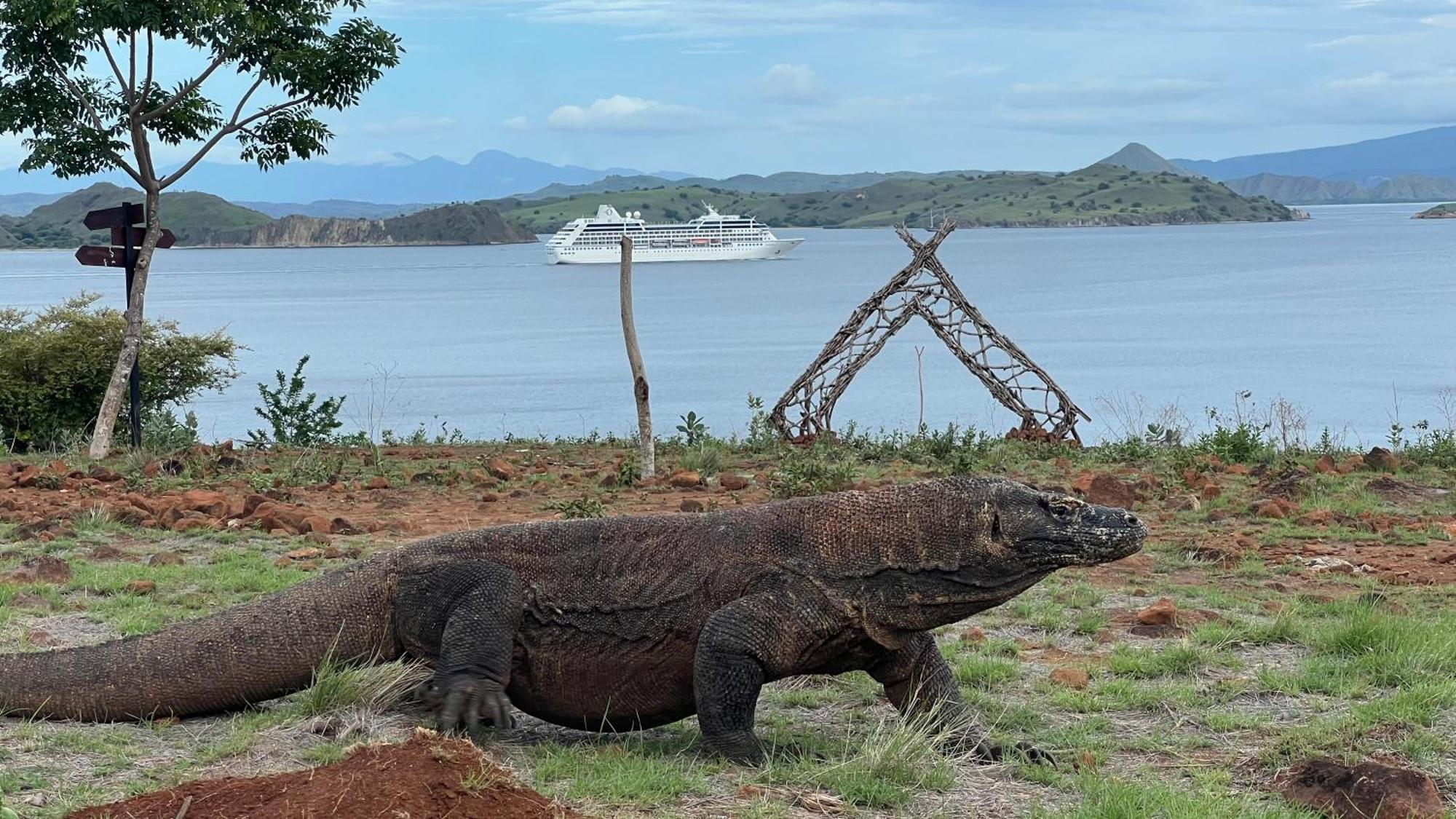 Jhuna Komodo Homestay ภายนอก รูปภาพ