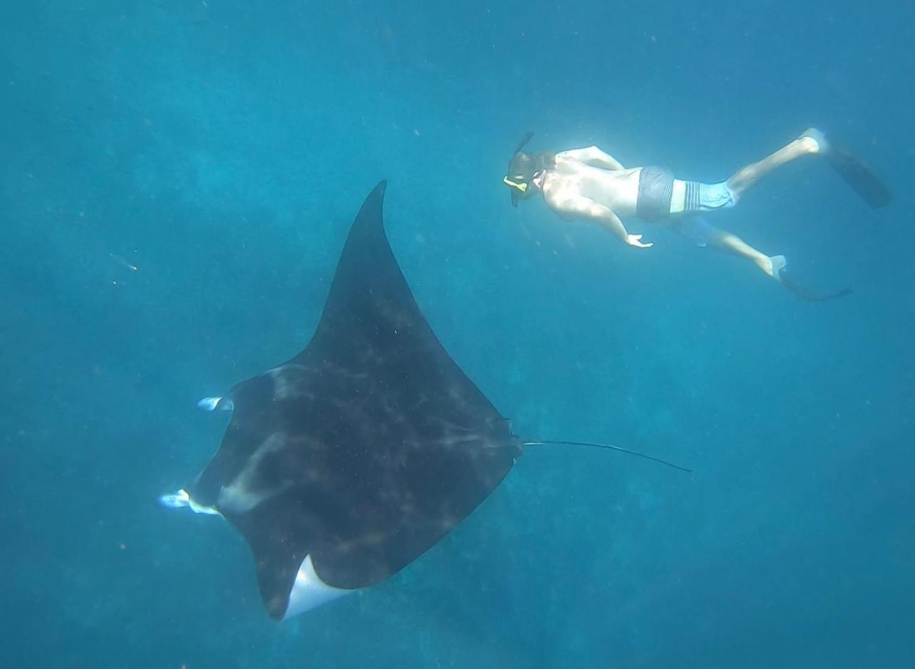 Jhuna Komodo Homestay ภายนอก รูปภาพ